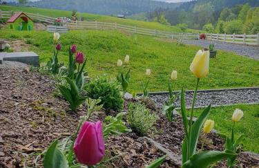 Domek Polna Cisza Bieszczady - Foto 14