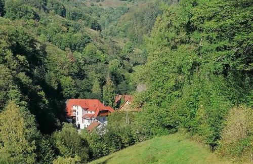 Huberhof Pfaffenbach - Photo 16