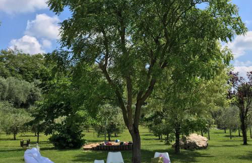 Agriturismo Casa Aurora - Foto 31