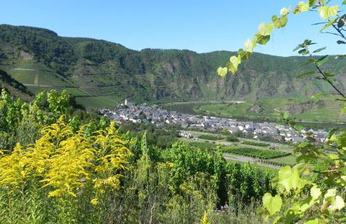 Ferienhaus Knecht - Photo 19