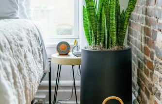 Bamboo Bungalow by Jungle House Near Convention Center OSU & Nationwide Arena Walk to High Street Downtown & Short North 5 800 Reviews Private Parking - Foto 86