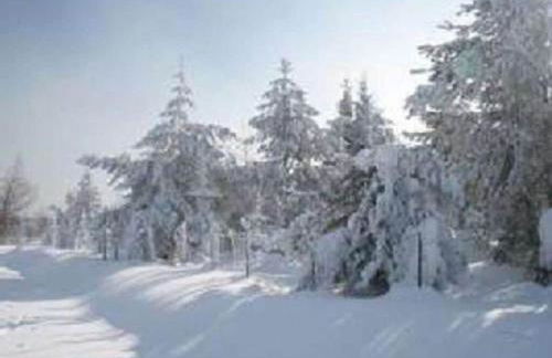 Family- friendly apartment in bavarian forest - Foto 26