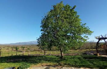 Apartamentos Ca' tio Celso - Foto 59