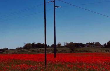 La villetta di Spiaggiabella - Foto 28