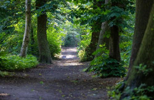 Ferienhaus Liegeplatz Dangast - Foto 28