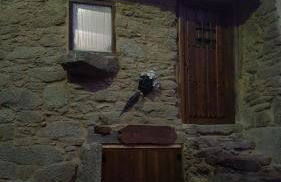 A Paragűeria - Foto 17