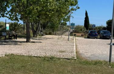 Balsamaris - Foto 66