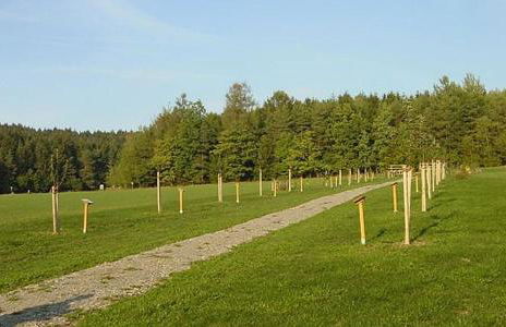 Blockhaus Stamsried - Photo 23