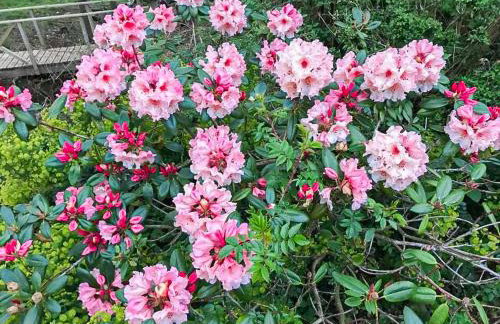 Blackberry Loft - a Hidden Gem - Foto 37