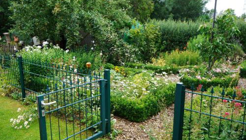 Historisches Haus Unkelbach - Foto 2, Garden view