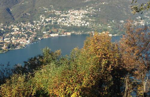 Baita Sorriso - Foto 53