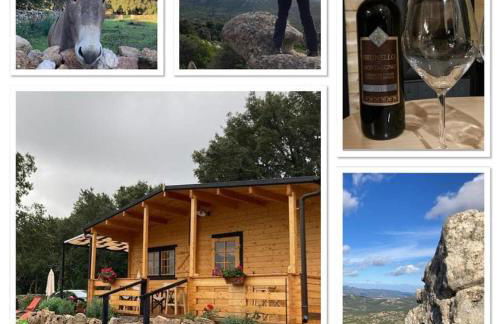 Eco Lodge nella natura Con Piscina privata "La Grande Quercia" - Foto 38