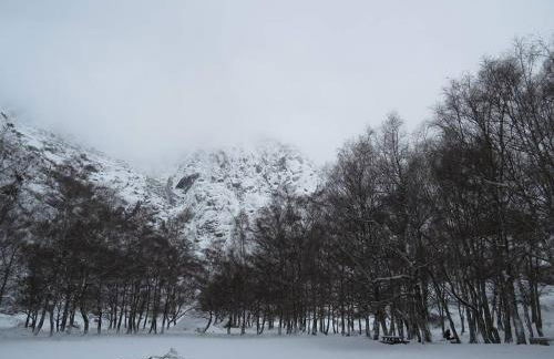 A Primeira Casinha do Mé-Mé - Foto 27