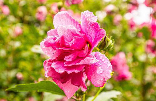 Cloud 10 Mountaintop - Foto 62