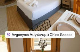 Avgonyma Square Nest - Foto 5