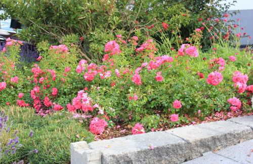 Ferienhaus Däschinger Das Zweiradparadies - Foto 52