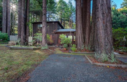 Serenity Grove - Foto 19