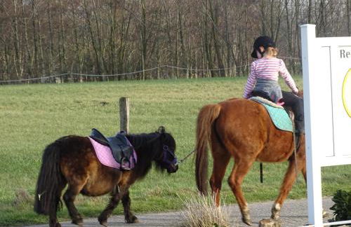 Wohlfühlurlaub auf dem Reit- und Ferienhof Goldberg - Foto 42