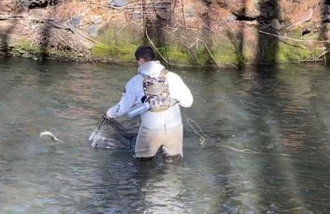 Historic Sears River Home (Main Level) on 10 Acres - Foto 35