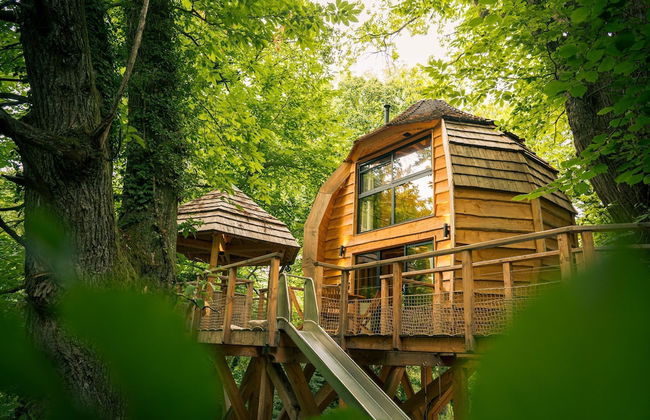 Domaine des Étoiles - Photo 48