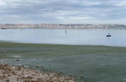 Apartamento Puerto Deportivo Marina de Santander - Foto 10