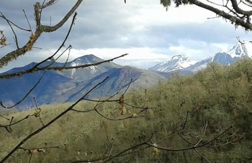 Casas Rurales La Casuca - Photo 35