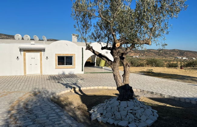 Villa in the Mountains Hammamet - Foto 50