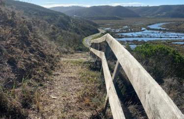 Herdade d'Amoreira Rosmaninho Studio - Foto 68