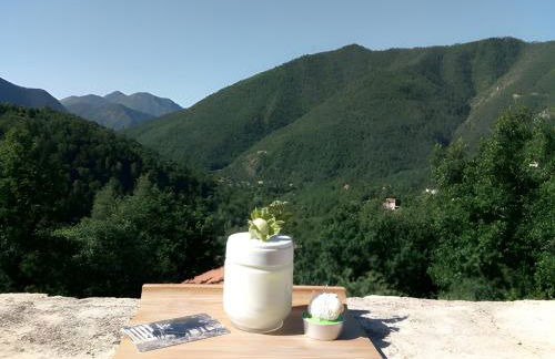 Bergeriedekakisse Mercantour - Foto 23