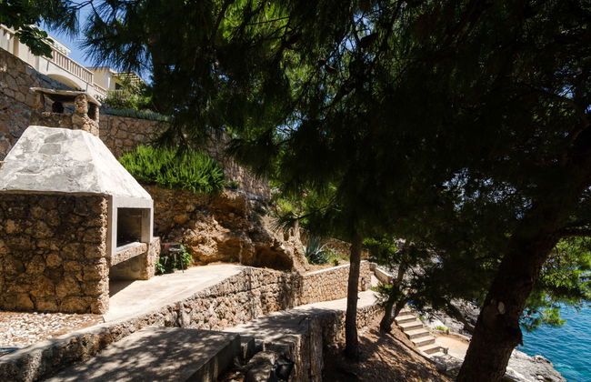 Plavac Mali - Foto 15