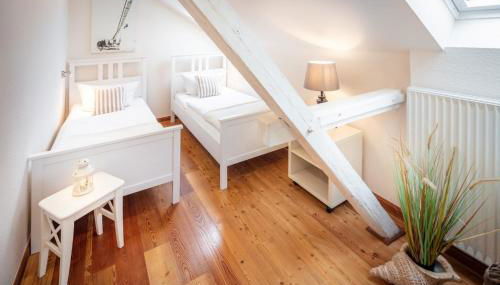 Silbermöwe - b65688 - Foto 5