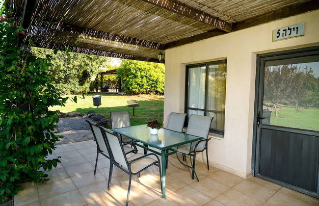 Nofey Habashan - Foto 34