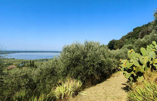 Massaciuccoli Romana - Foto 43