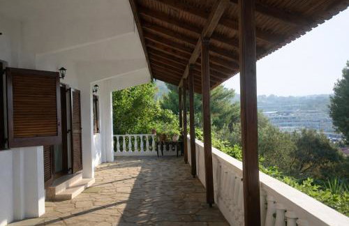 Blue Dandelion - Photo 7