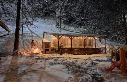 Domki Pod Jesionami - Foto 23