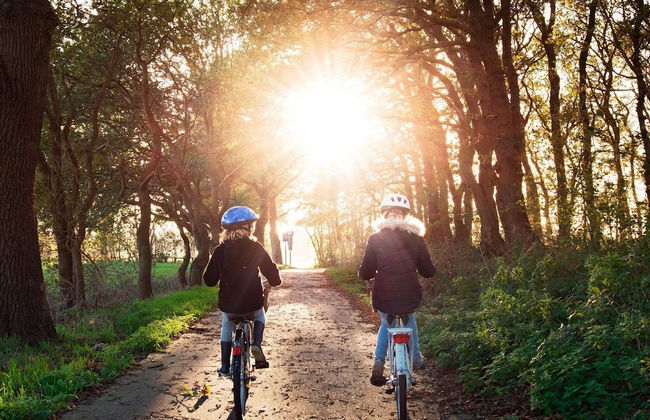 4 Person Holiday Home in Gislaved-by Traum - Foto 29