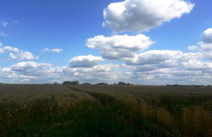 Apartamenty Sawino 4 - Foto 28