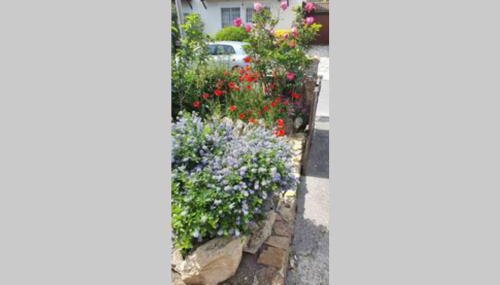 studio entre vallée colline et soleil marseillais - Foto 3, Garden view