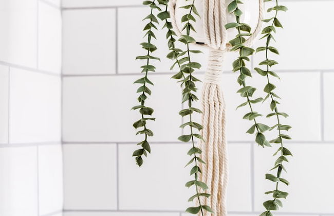 Shakespeare House, Free Parking, Town Centre Location - Foto 25