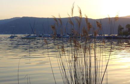 The Gulf Villa - Lago Maggiore - Foto 63