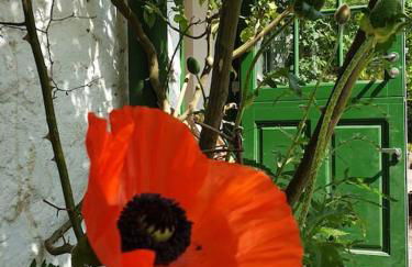 Das grüne Haus allein für Dich! - Foto 18