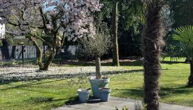 FeWo im Vest - Foto 4