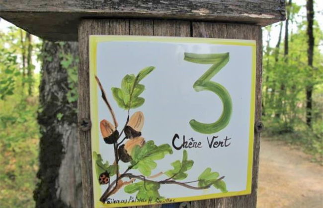 Le Chêne Vert - Foto 21