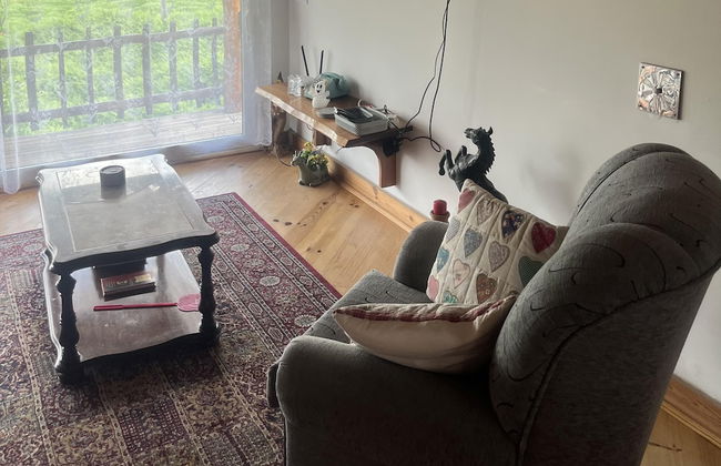 1 bed - Sleeps 4 - Pets - Balcony - Mtn View - Foto 11