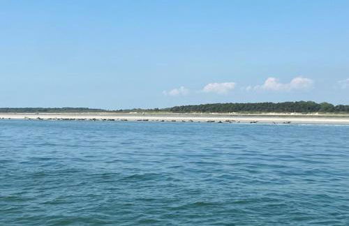 Les volets verts - Foto 29