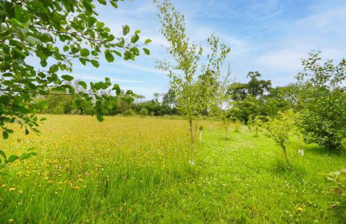 3 Bed in Dartington oc-b30033 - Foto 12