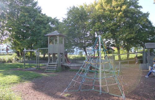 Silbermöwe im Kirschgarten - Foto 40