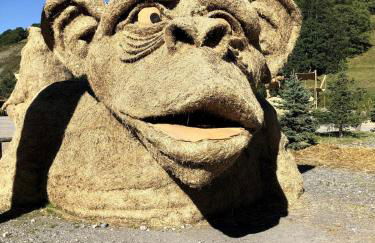 Beautiful apartment in independent chalet, facing mythical Col du Galibier - Foto 49