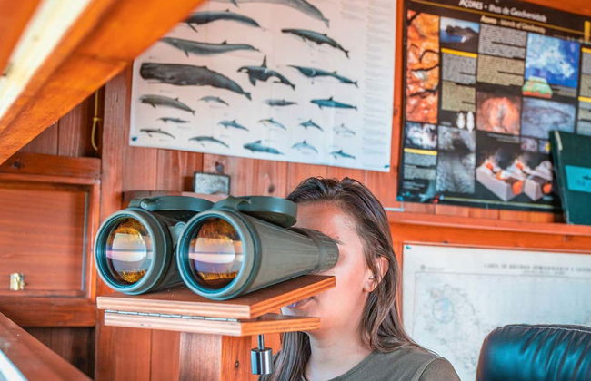 Tour del patrimonio ballenero de las Azores - Foto 3