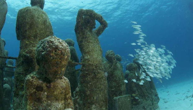 Exposition entourée d'un banc de poissons